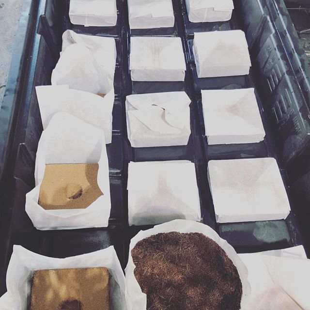 3 Liter BioPot by Char Coir